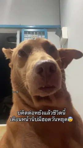 #แป็ปชี่เอง 