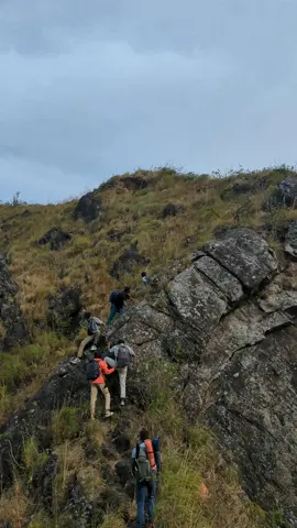 සතුටින් ඉන්න ඕනිද ❤️🍃#foryou #tranding #travel #viral 