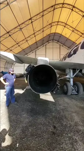 Thrust reversers on B737-200 🤯 #Nolinor #NolinorAviation #Aviation #B737200 #Aircraft #ThrustReversers #ReverseThrust #InverseursPoussée #Boeing #Trending #FYP #AviationTok #PourToi
