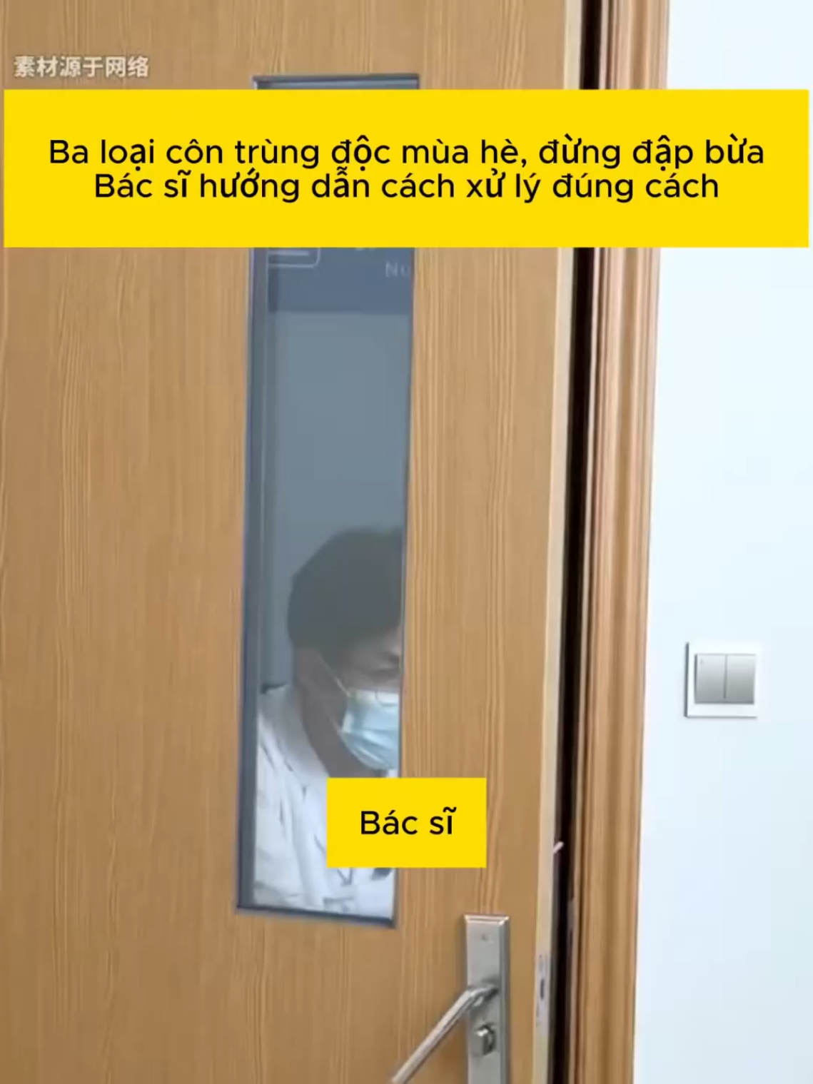 3 loại côn trùng mùa hè đừng đ:ập bừa 🫢 #xuhuong #virals #suckhoe #fypシ゚viral #fyp 