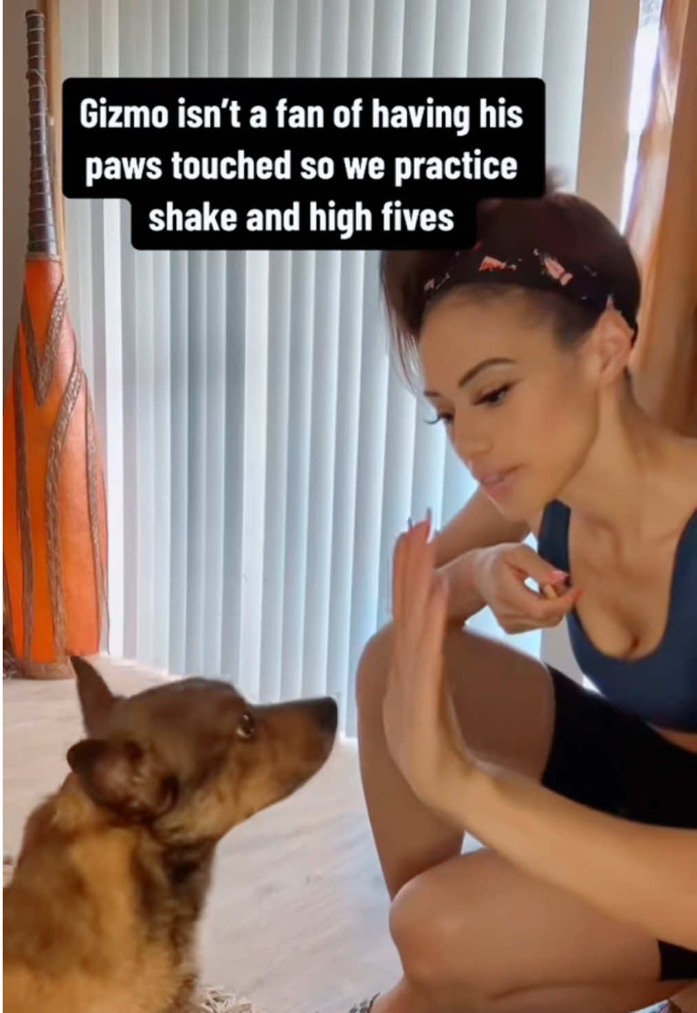 Rescue dogs hold a special place in my heart ♥️. I fostered this dog for 2 years after his owner passed away from cancer. He wasn’t adoptable at the time due to fear aggression. I saved his life by working with him while he lived with me. Thankfully I was able to find the perfect home for him 🥰 #fypシ #dog #rescuedog 