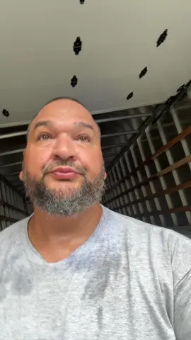 #boxtruck #deliverydriver ####fyppppppppppppppppppppppp 