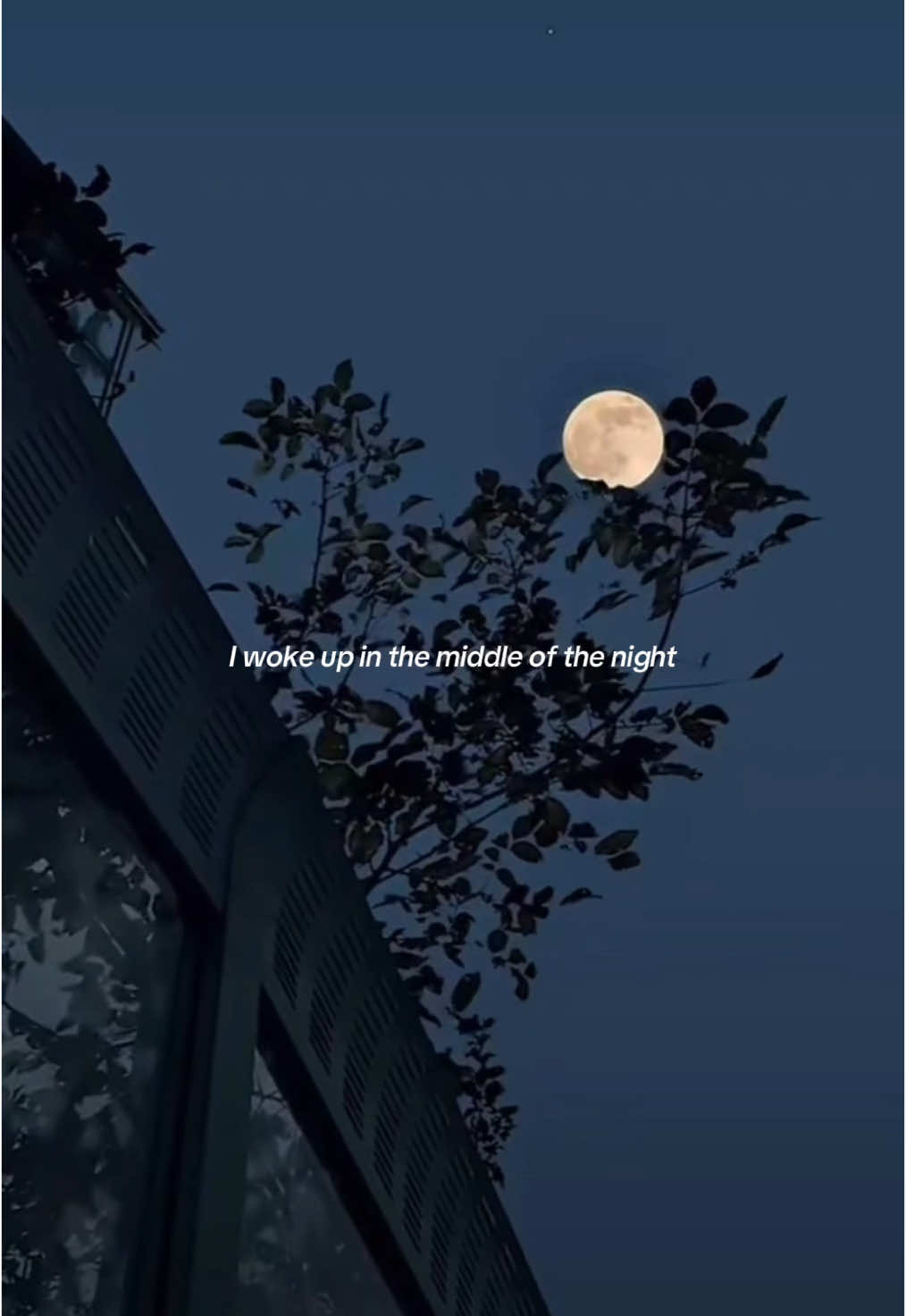 20:38 | 🎧🎶 #lyrics #foryou #avlxedits #foryoupage #fyp 