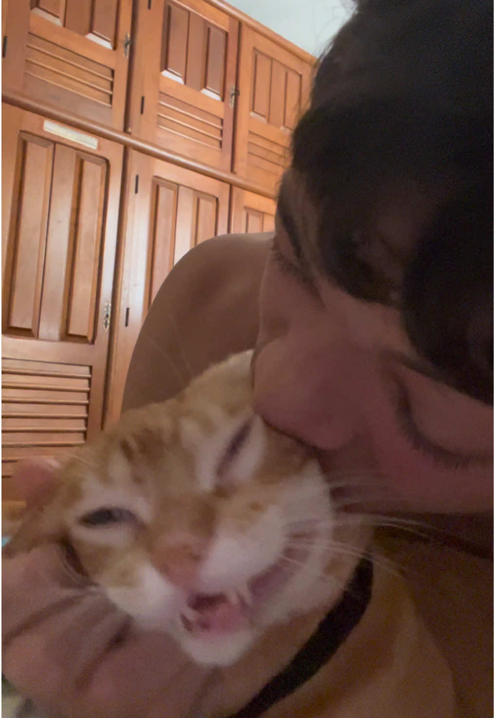 #funnycat #catsoftiktok #catlover #gatosengraçados #gatostiktok 