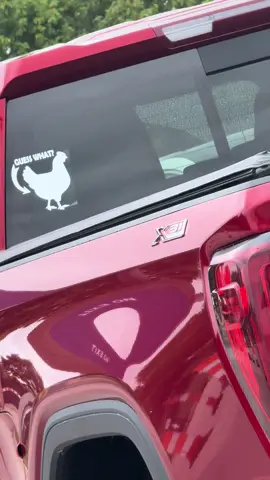 #guesswhat #chickenbut 