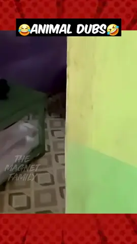 உங்க ஓனர் புடிக்கும்னா லைக்‼️🤧🤣😂 #dog #dogfunny #animalfunny #animaldubbingvideos #தமிழ் 