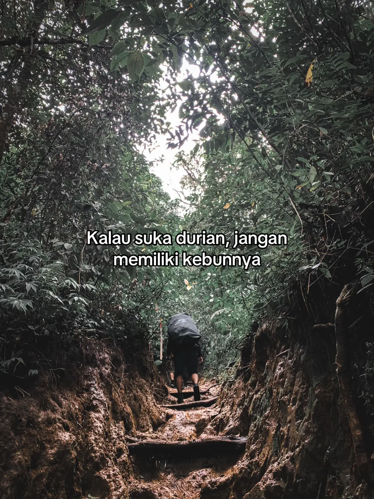 Kalau sukanya kamu gimana? Aw aw #fyp #quotes #katakatamotivasi 