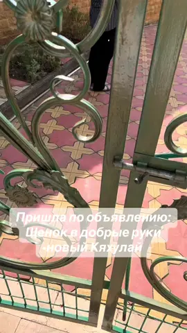 брать или нет? #fyp 
