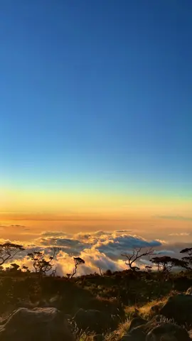 sunset bawakaraeng😍 #fyp #foryoupage #fypシ゚ #mendakigunung #bawakaraeng2830mdpl 