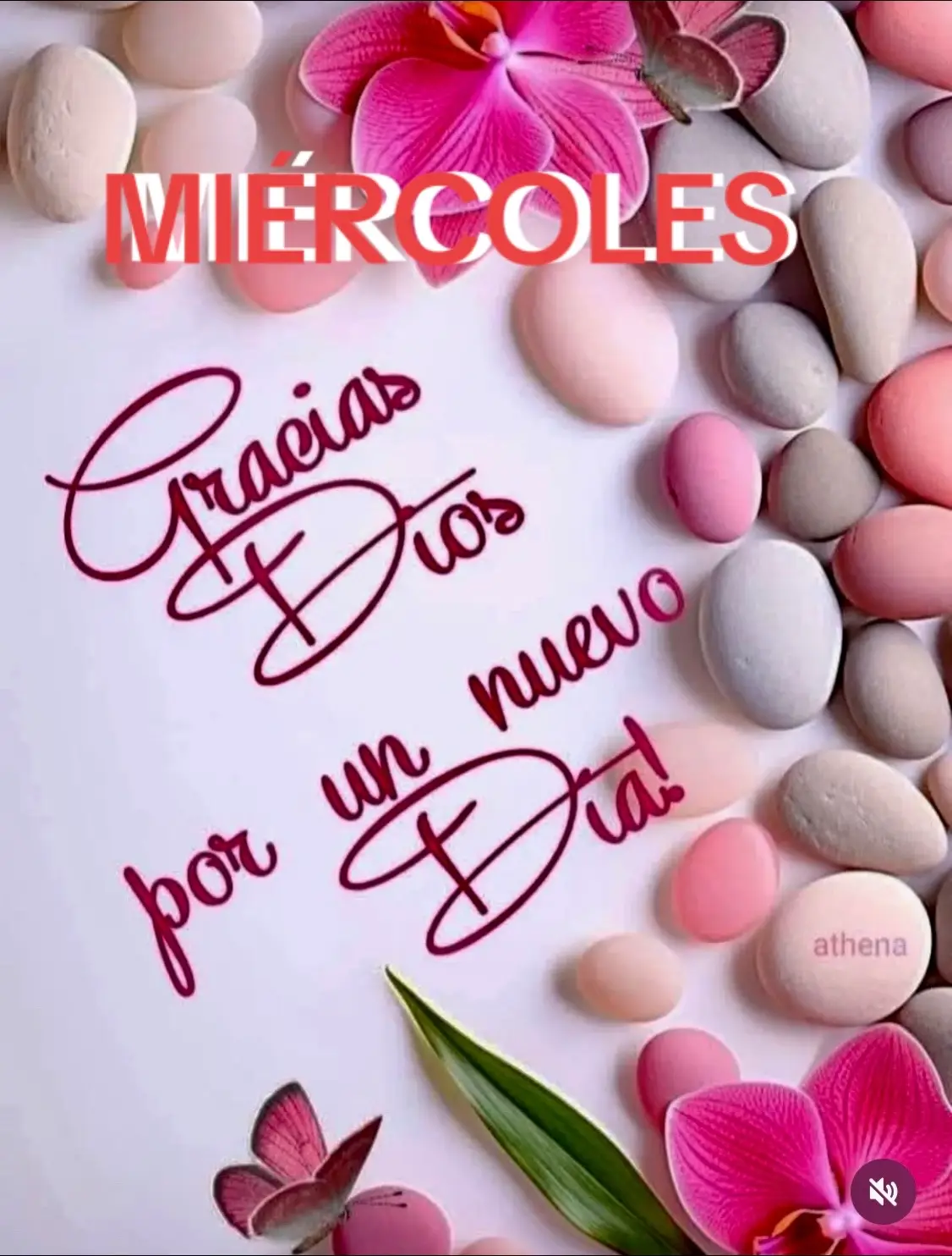 #buendiaparatodoelmundo🌍☀️🦋🙏🏼 #graciasDiosporundiamasdevida🙏🏼♥️🦋 #graciasadiosportodo✝️🤲🏼 #entusmanosestamosseñormioydiosmio🤲🏼🙌🏼🤝 #diospordelanteiniciomidia🙏🏼🦋🛐 