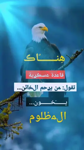 #🤫🤫🦅🦅🤫🤫🇪🇬☝🏻✨ 