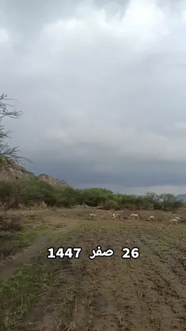 #مشاهدة_ممتعة_للجميع🔥 ما شاء الله تبارك الله شوفوا الجو اليوم الأربعاء 20 اغسطس 26 صفر 1447