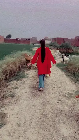 Sab mujy dekh rhy thy me kya kr rhi hu 🤦‍♀️🤦‍♀️🤦‍♀️🫣🫣🫣#mylifemystyle😎😎 