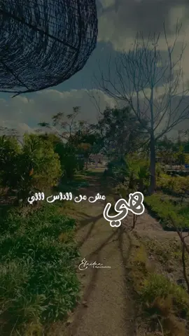 هي ♥️🔗#