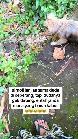 entah siapa yang bawa kabur