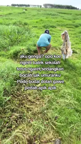 ☺️ #sobatngaritnusantara #peternakmuda #sapijumbo #ngaretsuket  #foryoupagee 