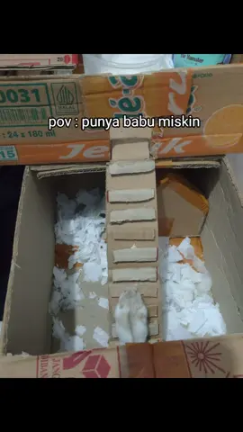 maaf ya nak.. nanti kalo ada rezeki lebih kita beli rumah idaman mu itu🥹 #hamsters #babu #rumahhamster 