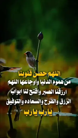 #تصميم_فيديوهات🎶🎤🎬 #عبارات_جميلة_وقويه😉🖤 #اكسبلورexplore #هاشتاق #تصميمي🎬 