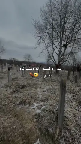 هه مي نه فس دئ تام كه نه مرنئ 🥹🤲🏻❤️‍🩹 #كل_نفس_ذائقةالموت #الحمدالله_علی_کل_حال❤ #اللهم_صلي_على_نبينا_محمد #alhamdulillah #hazh4rr 