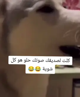 #الصين_ماله_حل😂 #