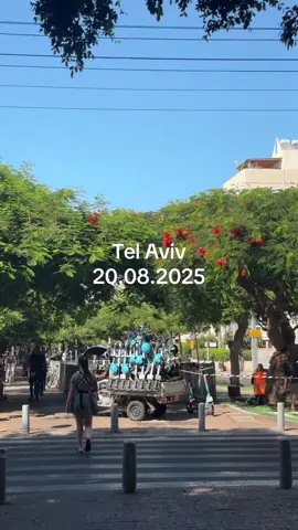 Tel Aviv city centre #telaviv #israel #fyp #viral #foryou 