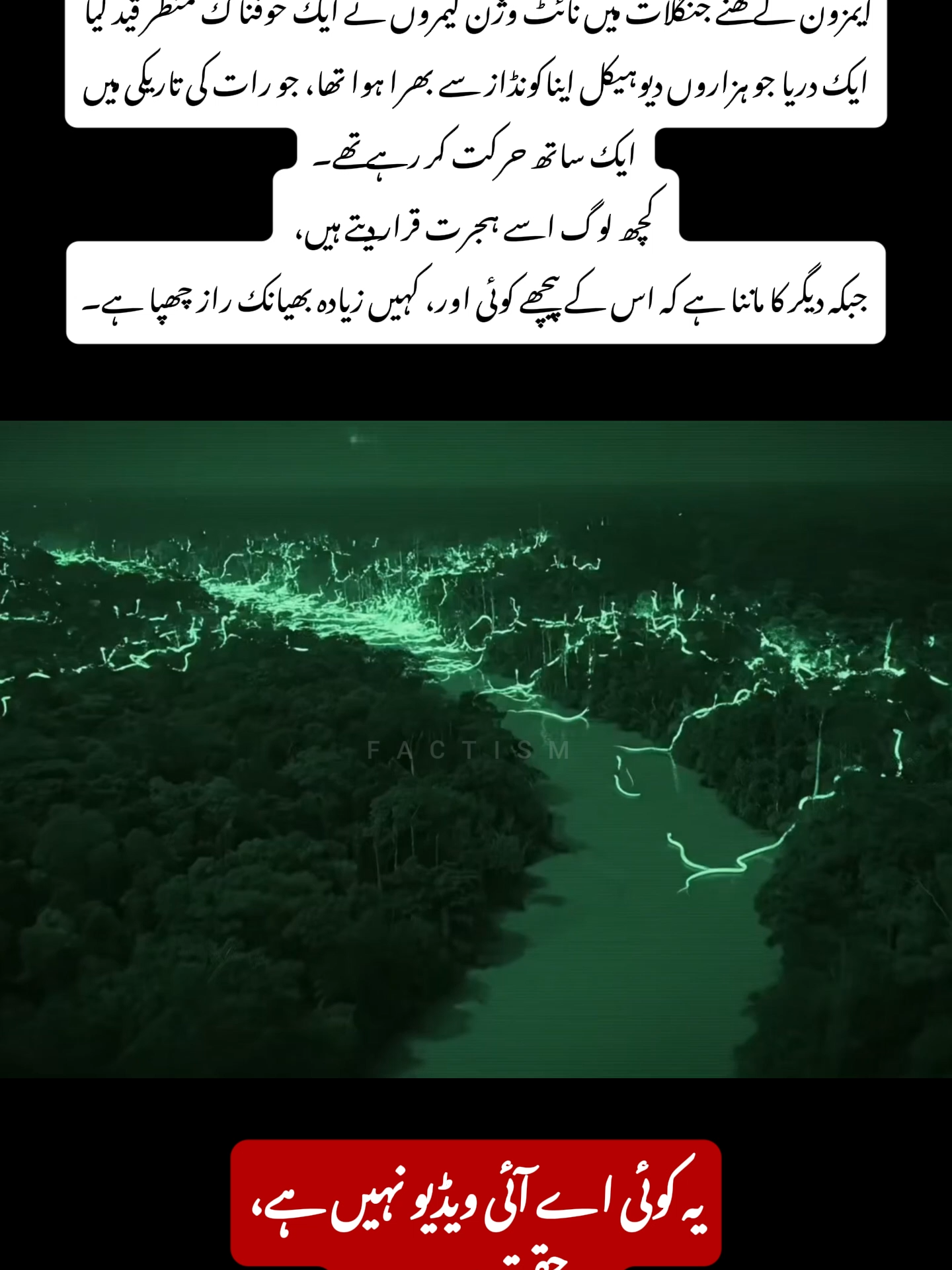 #anaconda #Anaconda #AmazonRiver #WildLifeEncounter #HelicopterAdventure #viralvideo #viral #foryou #flood #scarystories #amazon