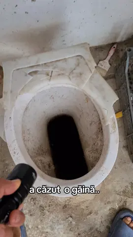gaina din wc #viatalatara #gaina #fyp 