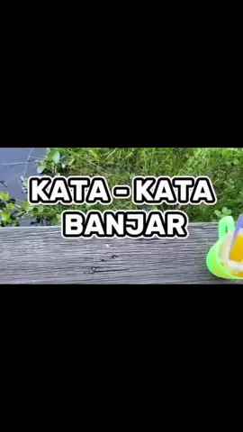 Singkadi😄 #urangbanjar #banjarmasin #urangbanjarjua 