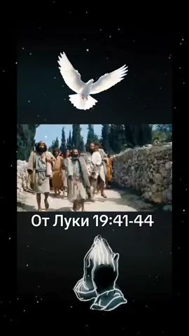 #дуэт с @Міхаель  🕊🙏Господь Бог є Бог єдиний🙏🕊