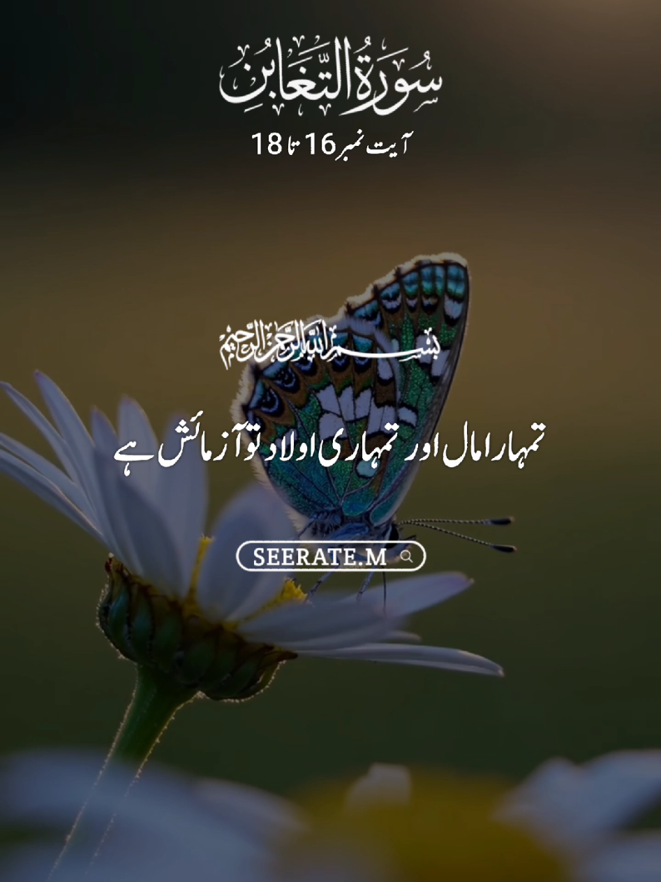Quran kareem with translation 😍  surat ut taghabin ayat no 16 to 18 #quran #hadees #islam #seerate_m #viral 