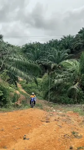 Main ny di kebon mulu 😂 #CapCut 