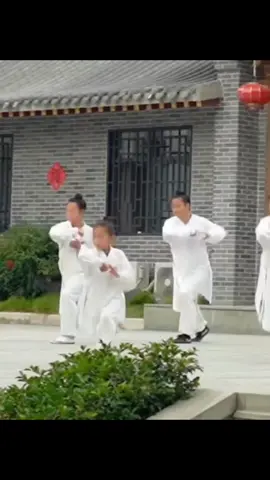 #kungfu #wushu #wudang #wudangkungfu #kungfustyle #kungfulife #chinesekungfu #lee25dragon #viralvideo #foryoupage #fypシ゚viral 