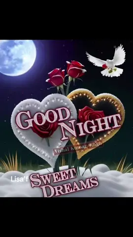 #Good night see you again sleep well and sweet dreams #پاگل  لڑکی 🦋⚡️✨💫⭐️💐💕🌙#