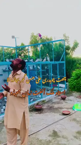 #onthisday #@malikulfatzamanjhedu #@Rainbowcanel ksh #@چودھری عمر انار گجر اسماعیلہ #@Noman Gujjar @Billu 