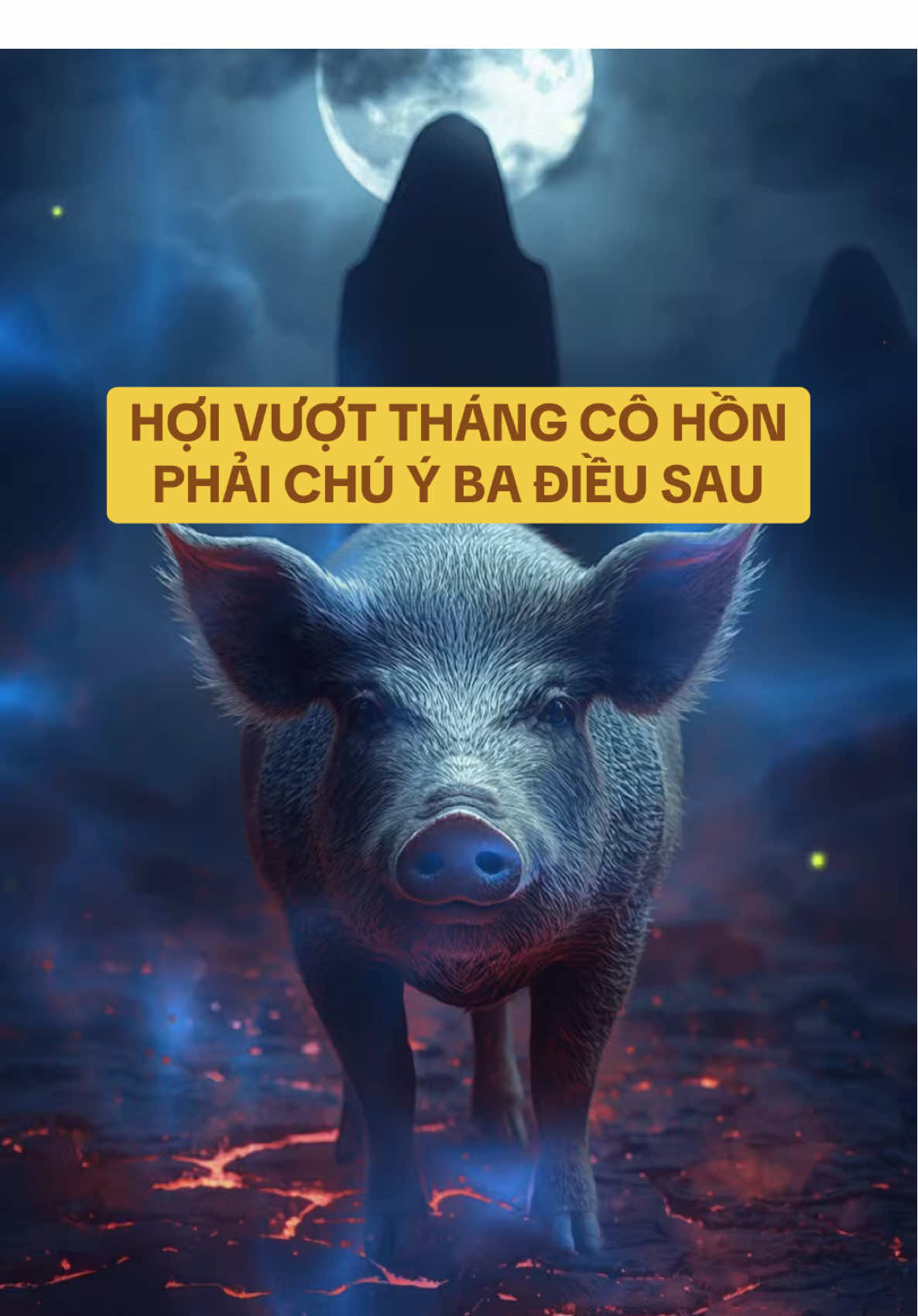 Hợi vượt tháng cô hồn cần chú ý 3 điều sau ! #thangcohon # #tuoihoi #tuvituoihoi #tuvi12congiap #12congiap    