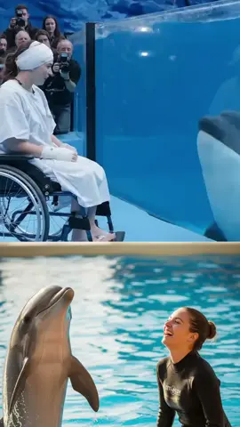 Jessica and Orca Meet Again. #jessica #orca #dolphin #trending #marinepark 