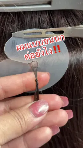 #เทคนิคต่อผมขนนก #ต่อผมขนนก9d #ร้านต่อผมในสระบุรี #ต่อผมใกล้ฉัน #ลูกแก้วต่อผมสระบุรี 