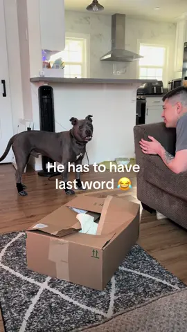 Cappy always has something to say #pittie #househippo #attitude #foryoupage #fyp 
