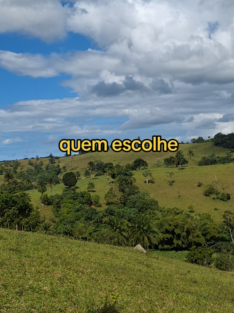 A mulher não se apaixona pela beleza #reflexaododia #relacionamento 