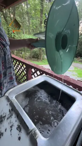 Replying to @Beef Jerky Queen Of course you don’t have to take the agitator out but I do just to clean it off. Especially after a load of work clothes. 💙🧺 #wringerwasher #missflossiethewringer #water #maytag 