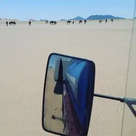 آه ي من قلبي هـشتاقي من الذي وده مخفه صاطي وده فالعماقي للغلا والشوق مرونه  في خدوده شمس الاشراقي جل ربي محلنه حبه الي قام ينساقي في الحشا رب في الونه مابقى من حالي باقي من وداده لي مشجنه روفيي بلي حالي تاقي لاتخيب فيك من ظنه #عام2013 