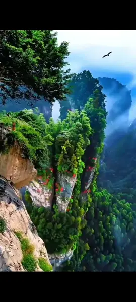 فديو منظر للطبيعه بدون علامة مائيه بدون صوت جاهز للتصميم  #foryoupage #foryou #viral #fypシ゚ #fyp 