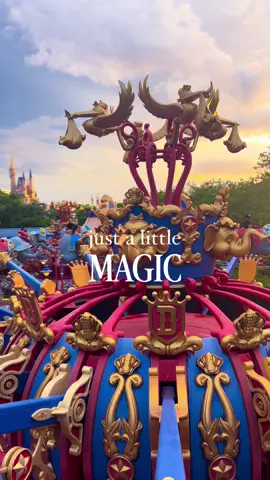 A little ✨magic✨ to brighten your day! #fyp #foryou #disney #waltdisneyworld #disneyadult 