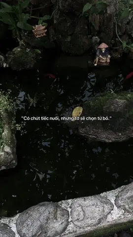 …#tamtrang #story 