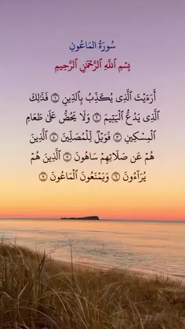 #قران_كريم #صلاح_بو_خاطر #قران  #قران #تلاوة_خاشعة 