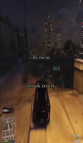 👌 #fyp #gta5 #targetaudience #nichetok #twin 