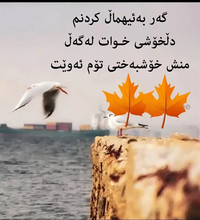 #qaladiza #zharawa #kurdistan #iraq #followme 