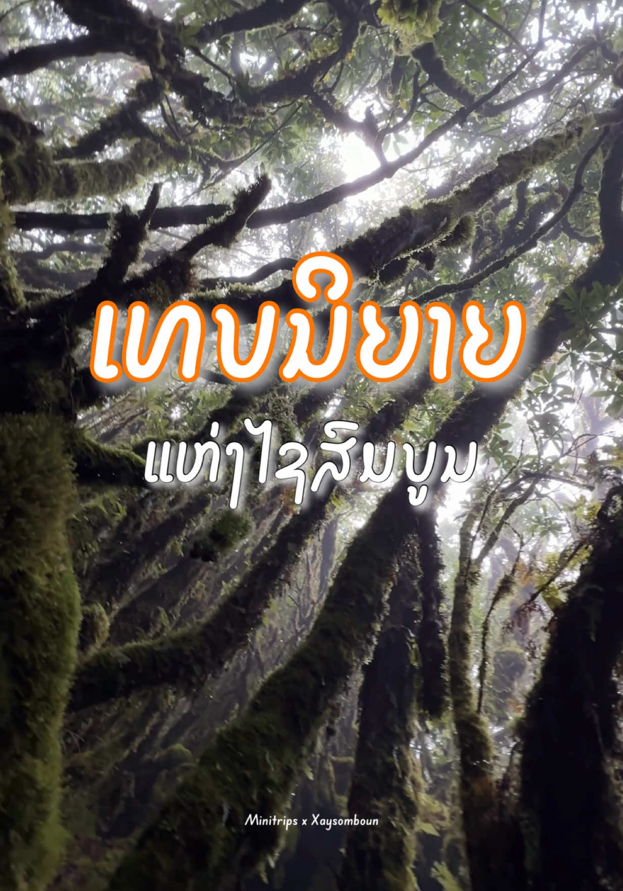 📍ດິນແດນແຫ່ງເທບນິຍາຍ, ສາຍໝອກ ແລະ ພູເຂົາ ທີ່ຕ້ອງໄປຈັກຄັ້ງໃນຊີວິດ 🫶🏻🌿⛰️🌫️ #ພູເບ້ຍ #ພູຫົວໂລ້ນ #ໄຊສົມບູນ #ມິນິທຣິບ #ธรรมชาติบําบัด 