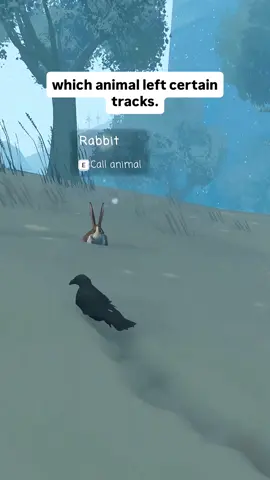 Snow trails for our crow survival game 🐦‍⬛🐦‍⬛❄️ #gamedev #indiegames #cozy #crows #survivalgame 