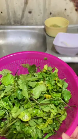 Menu seadanya